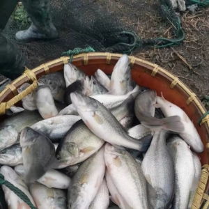 ���a3846���ٍ20�f������δ��ƺ����|�~�߮aӛ�