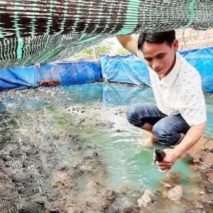 Խ���B�����С����С����@���Bֳģʽٍ�X��