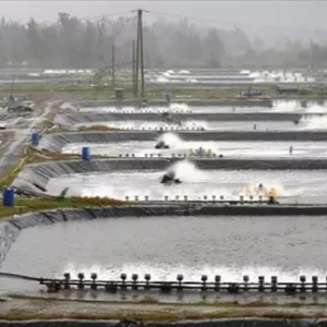 ȫ�����a2-3����ȫ����3�Ρ��B�r����