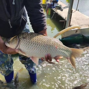 4�f���i��Ͷ���Ј�(ch��ng)���������l�~�F(xi��n)����