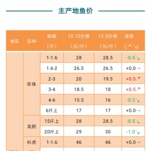 12��12�պ��ϡ��V�|������������ʯ���~�r�񲥈�