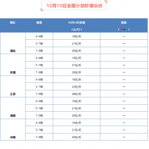 12��13��ȫ��С���r���^�r