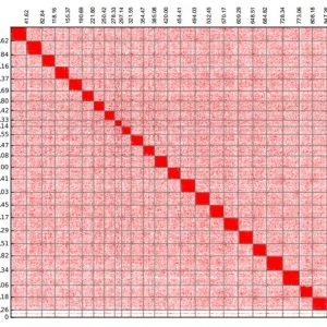 ���ϿƌW���״γɹ����g�|�ǰ߻���M�������Ϸ��a�I�lչ