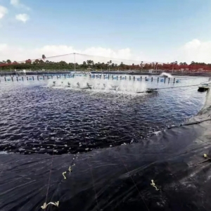 ��ʮ����͹ȣ�̩���r��r���i���挦���ݵĶ�϶ࠖ�r���ƾ�֮·�ںη���