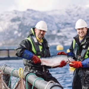 �Y��ĘI�߷����������~���Ї�