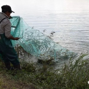 12��19��ȫ�������׌��r���^�r�񲥈�