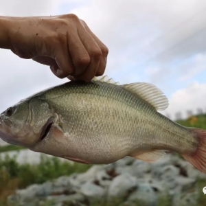 ���^�r��(chu��ng)�vʷ�¸ߣ������B(y��ng)�����|�Ď׺���ٍ���X��