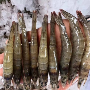 ���r�M���̣�Ԫ��+����������ȫ��40%���M��