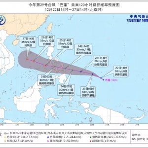 29̖�_�L������������ɽ����Ϻ����L����