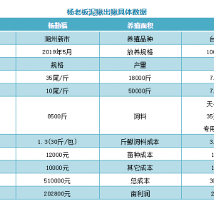 �_�����q��8�������o��������20�f������