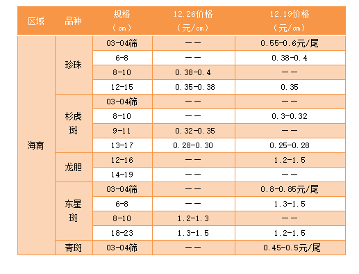 12��26�պ��ϡ��V�|������������ʯ���~�r(ji��)�񲥈�(b��o)