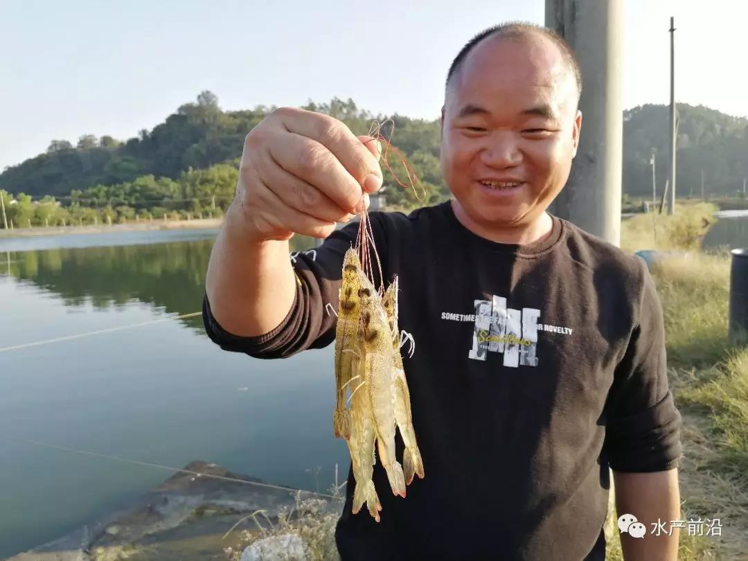 �B�r�����@���ַ�ٍ��200�f