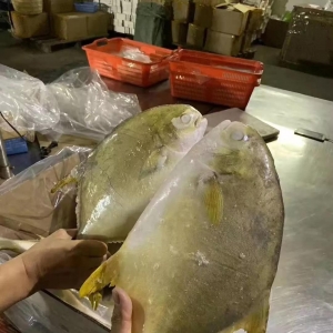 ���K�~������j��0.9Ԫ/�