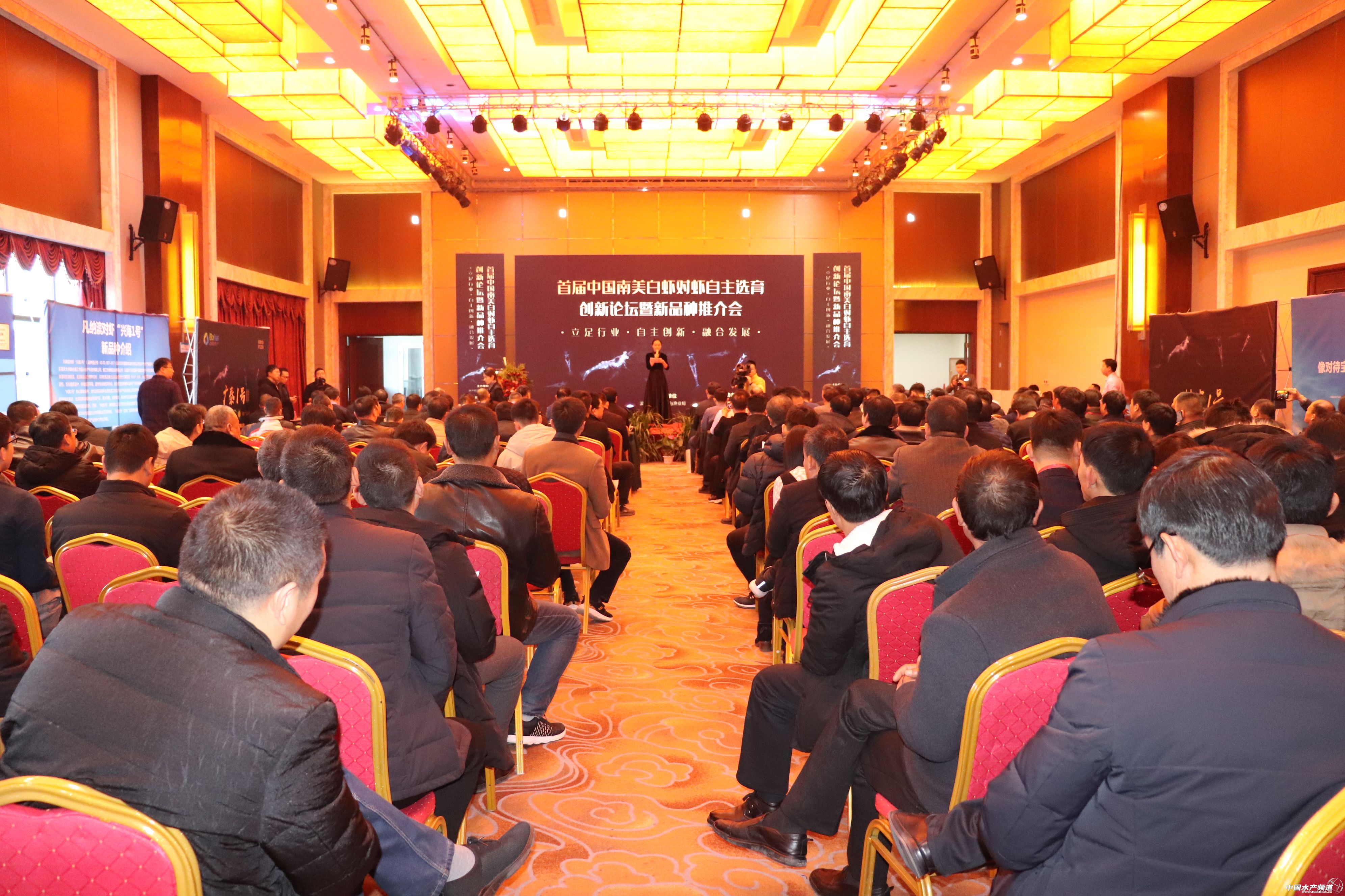 �׽ܣ����{�I���r�N��a�I�lչ�cչ��