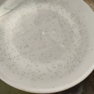 �����|�_���ļ��gҪ�c