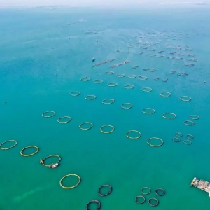 �ذ�����ˮ�a�~�������2020��Ͷ�a����