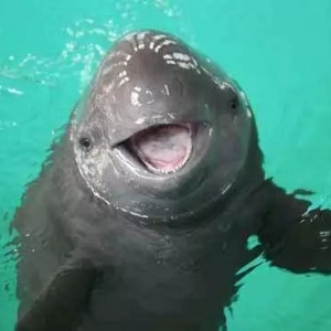 �L��ȫ����O10�꣬�~�rҪ���q��