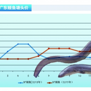 ���~����ꑚW�����~�r�����_���n���r�񷀶���������ˮ�aǰ�ء�2020��1�¿��Ј�څ��