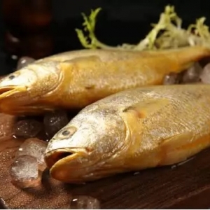 ���S�~�r���m�ߵͣ��@�����������