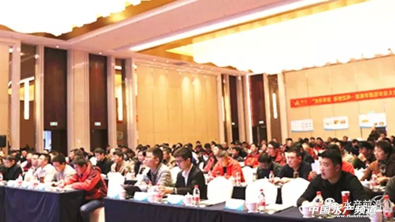 ����������A���Fһ�����h�Մӱ��A���ǧ�f