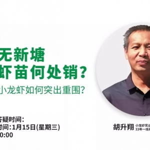 �׺������������������С���r��Ҫ��������γɞ���20%���B(y��ng)�r���֣�