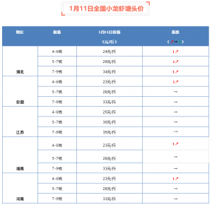 1��11��ȫ��(gu��)С���r���^�r(ji��)