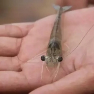 �M���r�_������˽�r���{���҇����r������m��ʎ