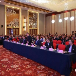 ���^��ƽ����2019�꣬����ߵ�Խ�l������