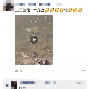 ����pʧʮ���fԪ��������ע����������֪���᣿