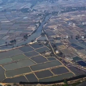 �h�����B�r����ʯ��+���������p��ٍʮ���f��