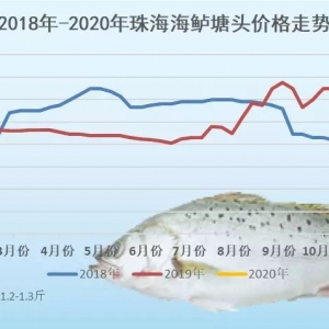 2019��1��18�պ��|���^�r(ji��)��һ�����鲥��(b��o)