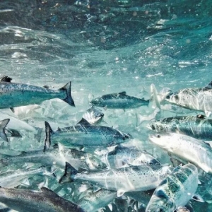 ��ʲô��������~�r���ϝq�@ô����