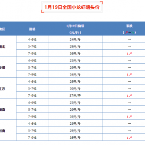 1��19��ȫ��С���r���^�r