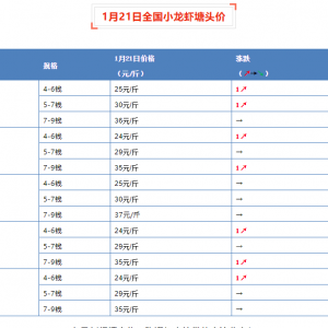 1��21��ȫ��С���r���^�r