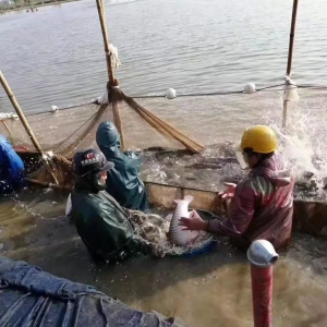 2019��1��21�ղ��~һ�܃r(ji��)�����鲥��(b��o)