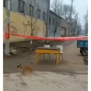 2019��1��29�ն����~һ�܃r�����鲥��