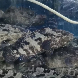 ͣ�I���ˆΡ����С��v�u����90%���rˮ�a�n��������̝�p���أ�