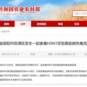 �i��+�������u�����¹������ˮ�a�C������������