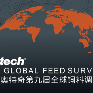 2019��ȫ����Ϯa������^ȥ�����״γ��F�½�