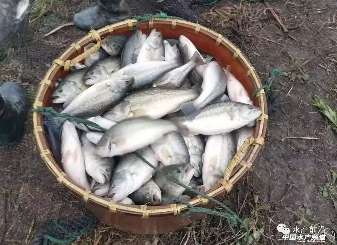 �����|�~�������@���B