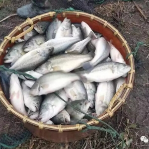 �����|�~(y��)�������@���B(y��ng)