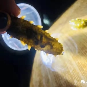 ������Խ�����ա���˼�S���Ͱѿء���(c��)���c(di��n)������Ҫ