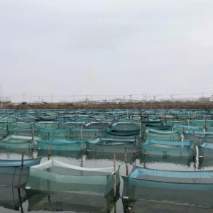 ����֮�£��������f���з����ȥ�Ώģ�