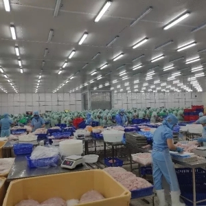 ȫ����ɳ�~��ͨ��ͣ���M���̺ͼӹ��S���������D��