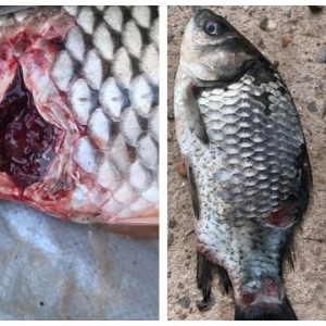 Ԭʥ�ώ���ˮ�����Ｒ�������M�������ڣ�֔��Խ���C����