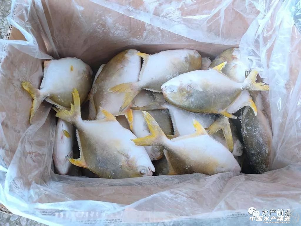 160�f���Ľ��K�~�����ʿ����������ʯ܎���YԮ����һ����ؕ�I��������