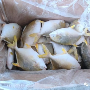 160�f���Ľ��K�~�����ʿ����������ʯ܎���YԮ����һ����ؕ�I��������