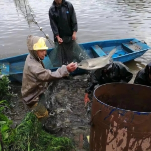 ��ţ���Bз��30�஀��ٍ40���f