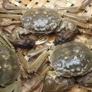 �o������ǧ�f�ﳬ�|Ԫ���~����ҕ�����Ј��N��