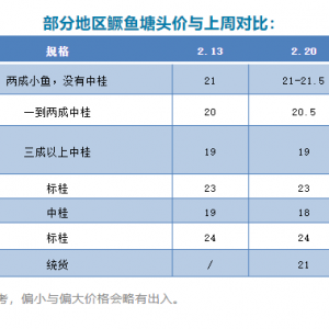 2020��2��20���Z�~���^�r��һ�����鲥��